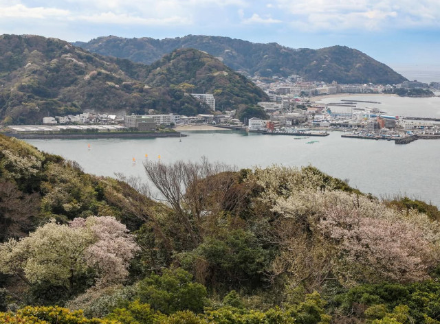 披露山公園【逗子市】